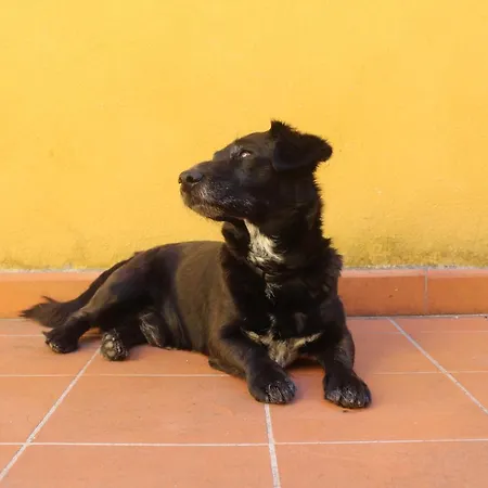 Al Canto Bed & Breakfast Firenze